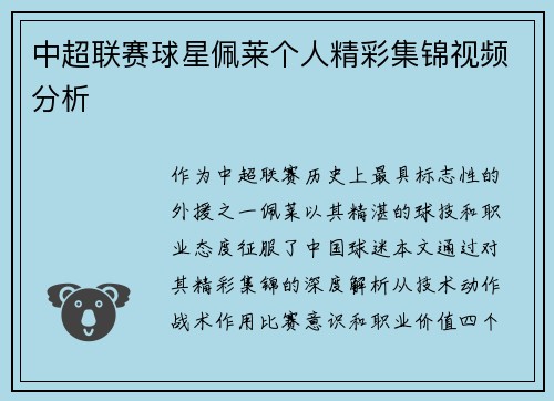 中超联赛球星佩莱个人精彩集锦视频分析